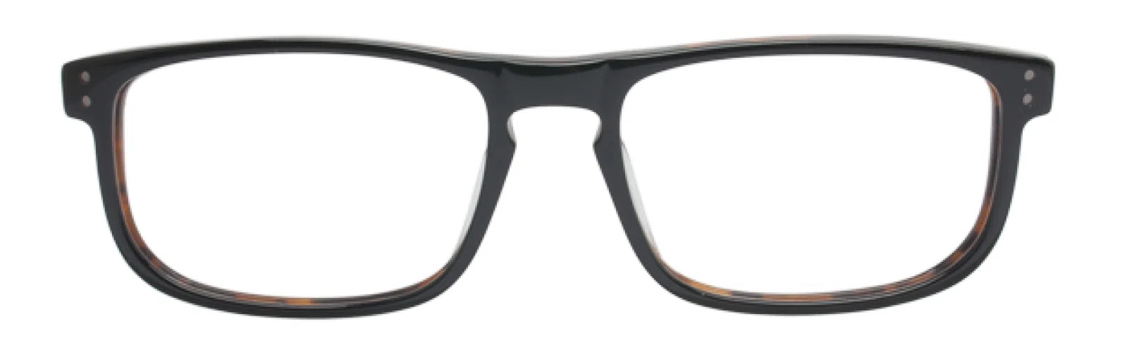 Randy Jackson RJ3013 Eyeglasses - view 8
